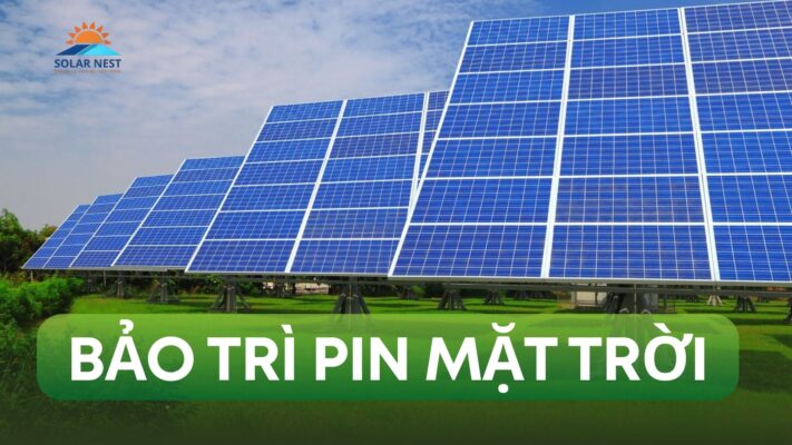Bảo trì pin mặt trời